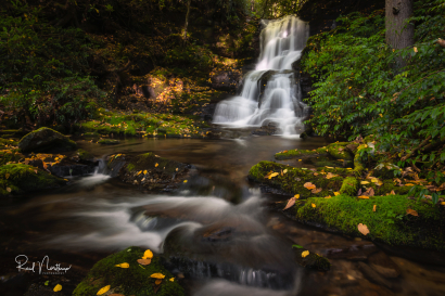 Gage Falls
