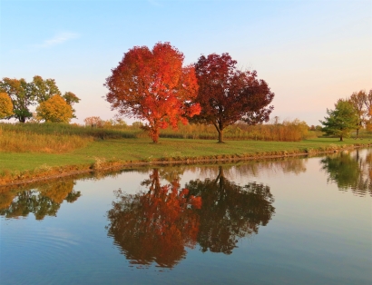 Fall Reflections