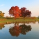 Fall Reflections