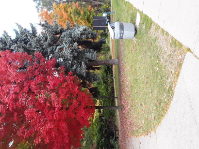 Beautiful autumn