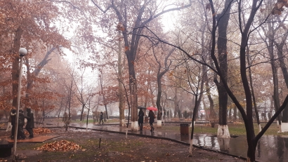 Rainy day in Autumn