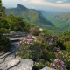 Hawksbill Mountain Linville North Carolina