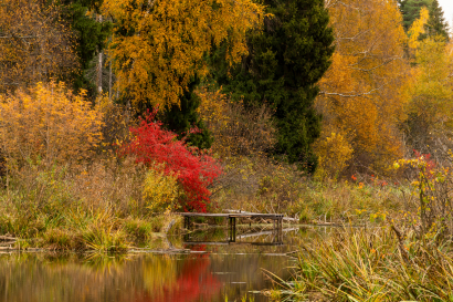 Autumn in Losiny Ostrov Nation...