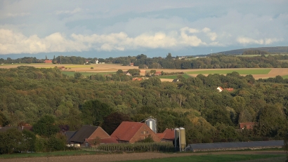Landscape