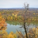 Bright autumn