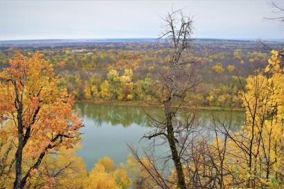 Bright autumn