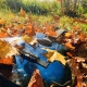 Autumn music