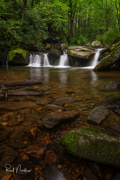 Davidson River Cascades