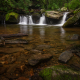 Davidson River Cascades