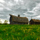 Abandoned barn yard