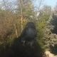 TheHawk