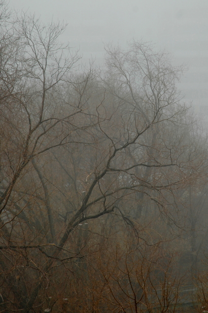 Fog