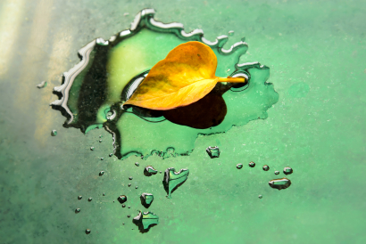 YELLOW BITWEEN GREEN