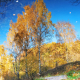 Mirror fall 