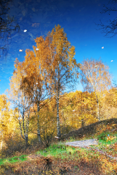 Mirror fall