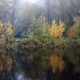 Autumn morning