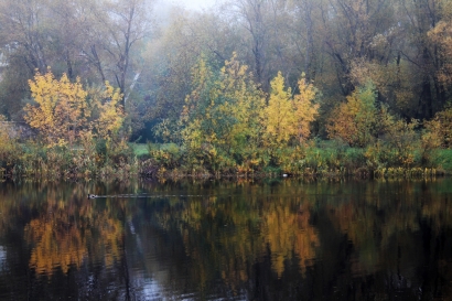 Autumn morning
