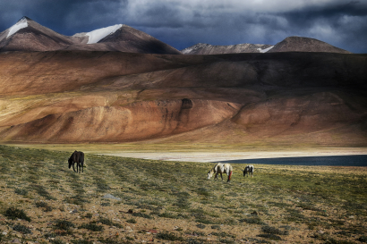 Landscape of Ladakh