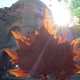 Fall' in love with Istanbul