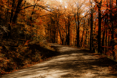 Follow the Fall Stone Road