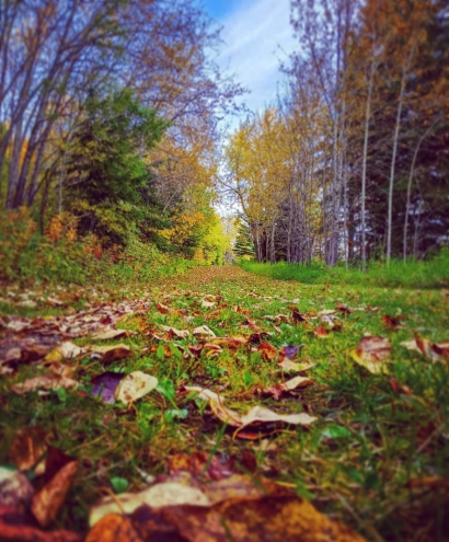 Colors of Autumn