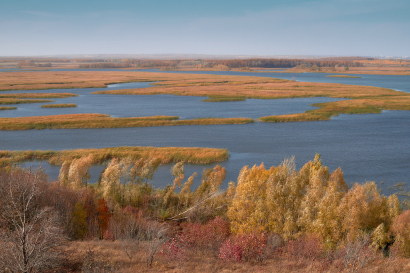 Autumn colors