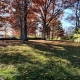 Autumn season 