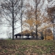 Picnic in the woods 