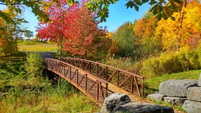 Fall Foot Bridge Cornwall