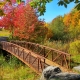 Fall Foot Bridge Cornwall