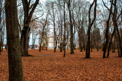 Manor