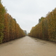 Developing Corridor