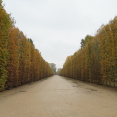 developing-corridor