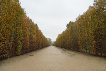 Developing Corridor
