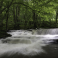 tumblin-creek