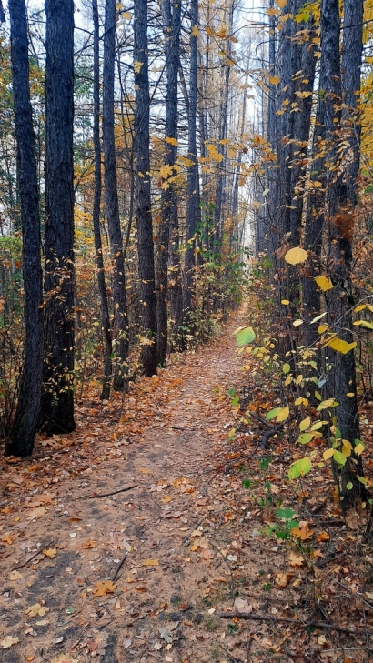 Breath of autumn