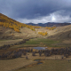 Altay
