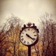 Time stops for everyone