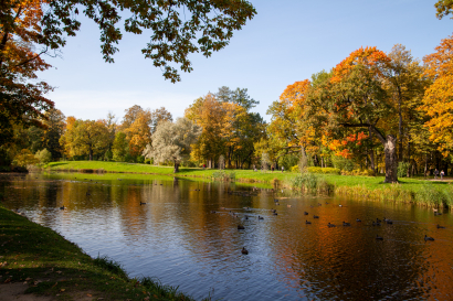 Golden autumn in Tsarskoye Sel...