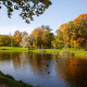 Golden autumn in Tsarskoye Selo