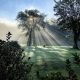 Fall fog