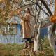 Autumn harvest