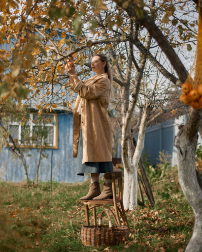Autumn harvest