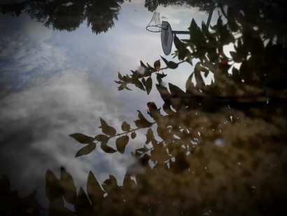 Reflection