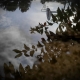 Reflection