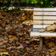 Crunchy Bench