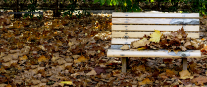 Crunchy Bench