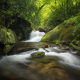 South Toe River Falls
