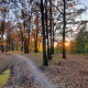 Breath of autumn