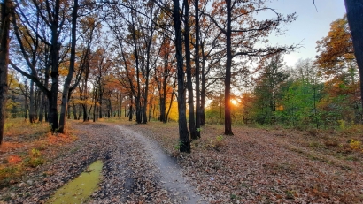 Breath of autumn